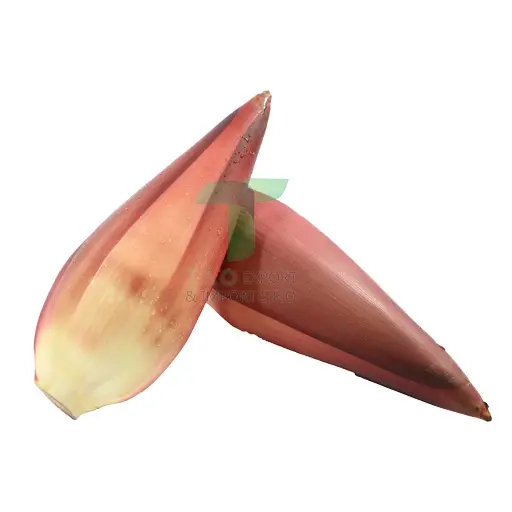 BANANA FLOWER