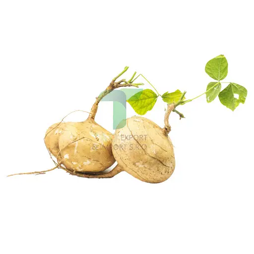 YAM BEAN