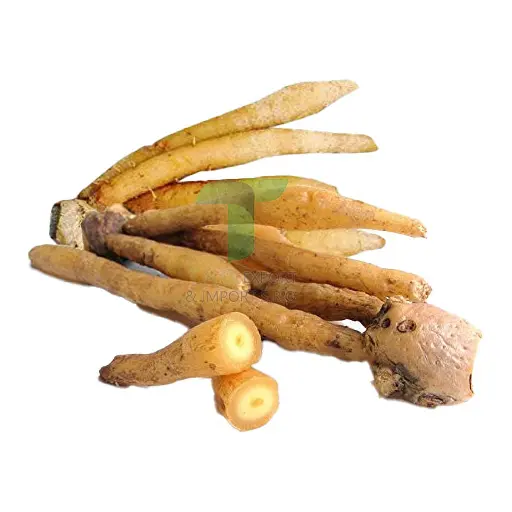 KAEMPFER