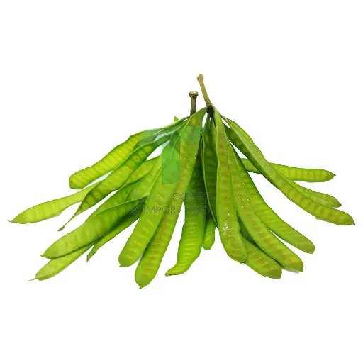 LEAD POD