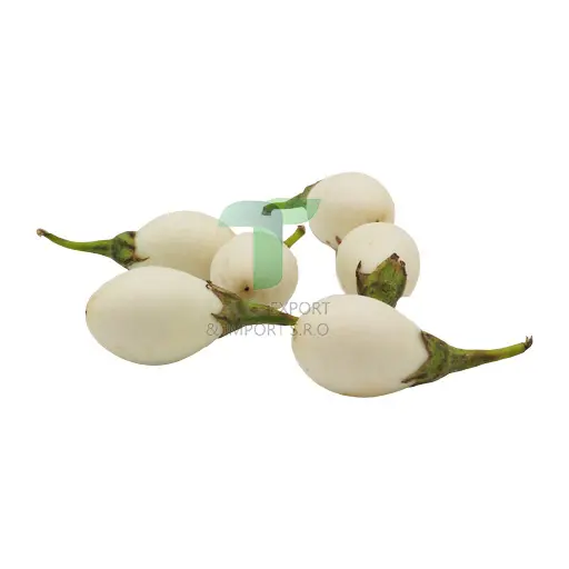 EGG PLANT TOR LAE