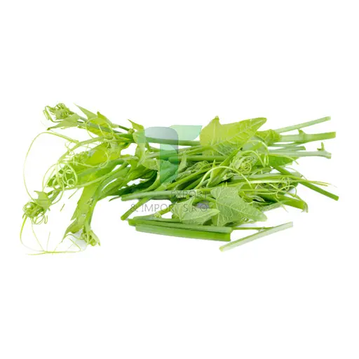 CHAYOTE SHOOT