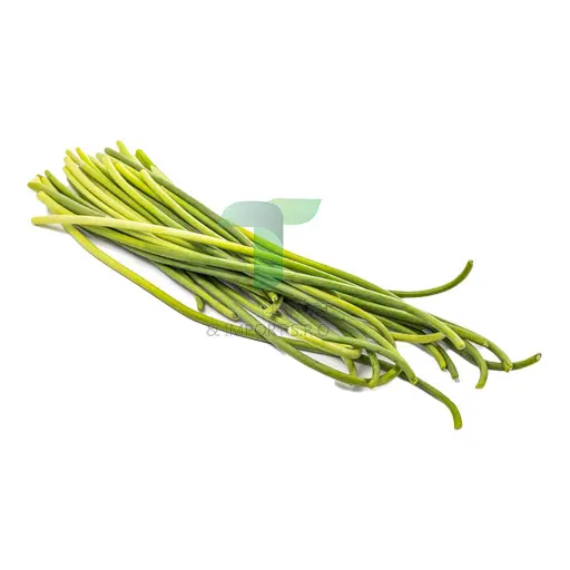 GARLIC SHOOT