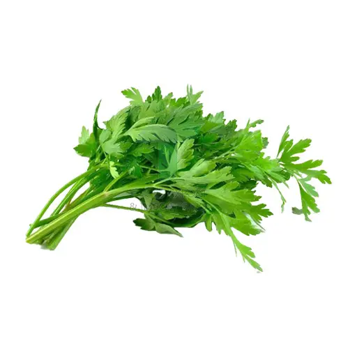 CELERY E