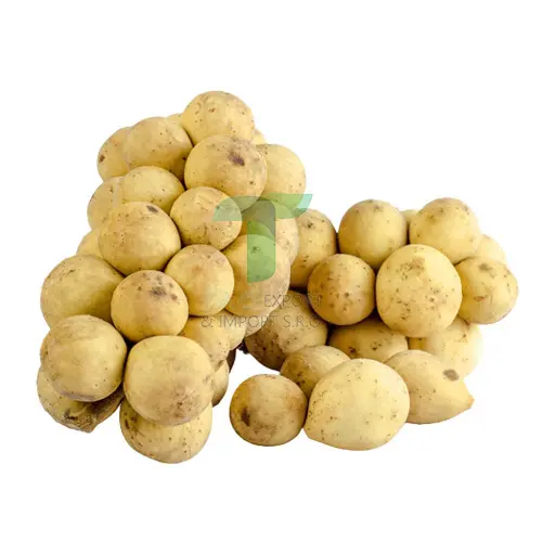 LONGKONG