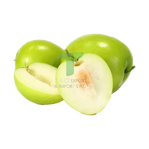JUJUBE