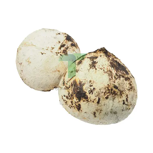 GRILED COCONUT 