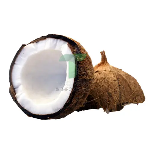 COCONUT 