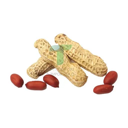 PEANUT FRESH RAW  