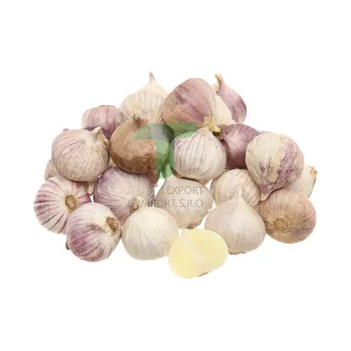 GARLIC HEAD  