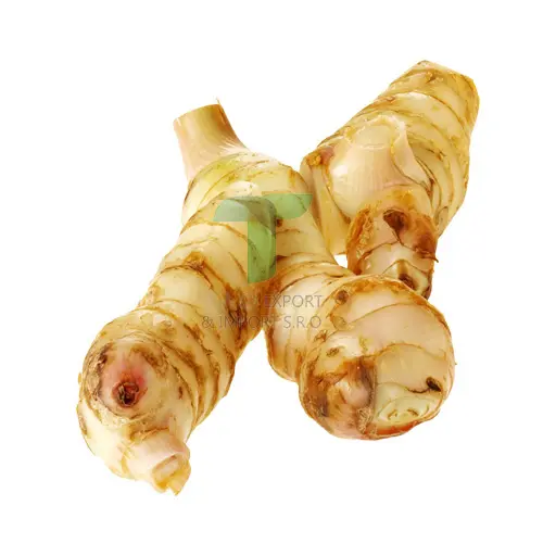[11002] YOUNG GALANGAL