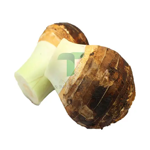 [11031] TARO