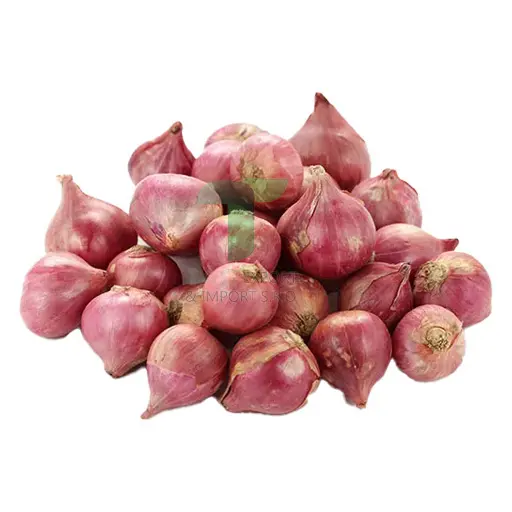 [11034] RED SHALLOT