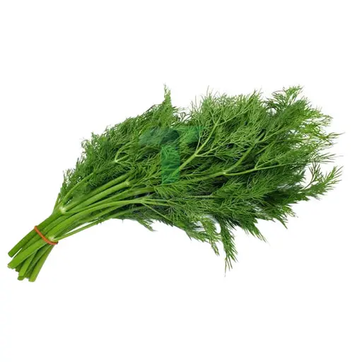 [11038] DILL