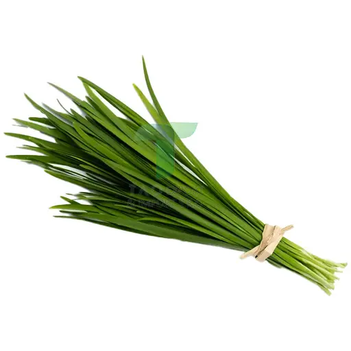 [11039] CHINESE LEEK LEAVES