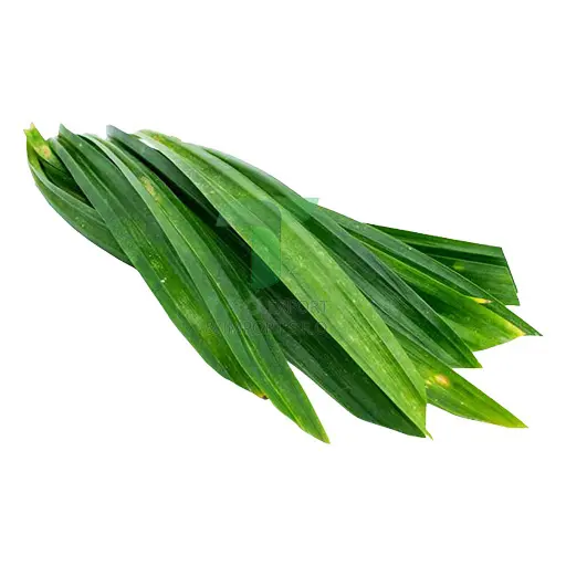 [11041] PANDAN LEAVES