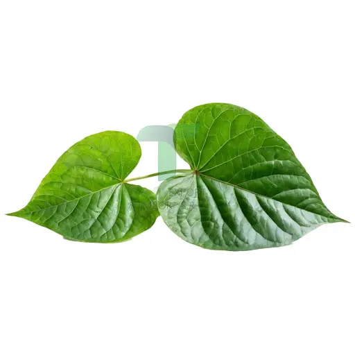 [11072] CHA PHLU LEAF