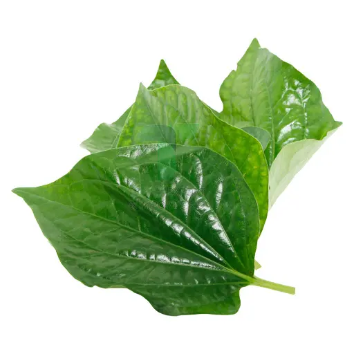 [11073] BAI PHLU LEAF