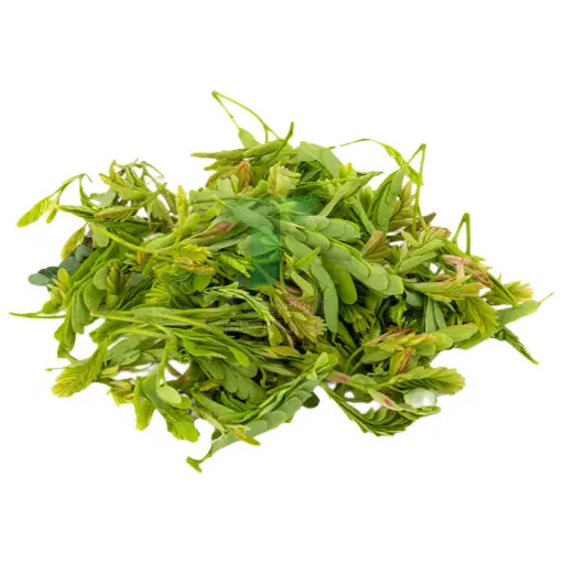 [11082] YOUNG TAMARIND LEAVES