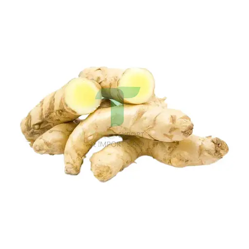 [11084] WHITE CURCUMA