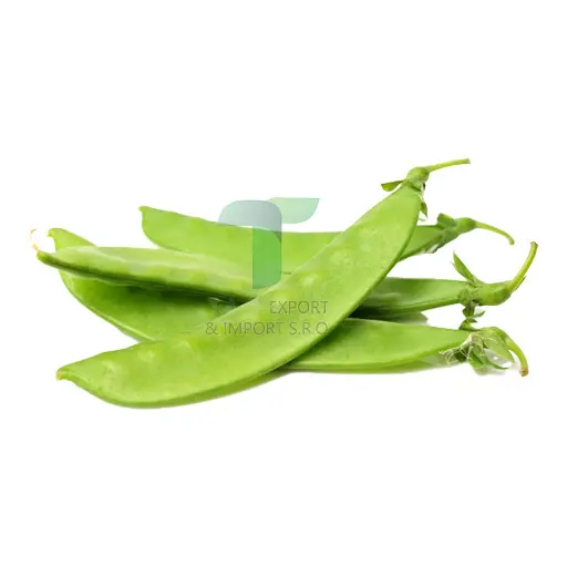 [11085] GARDEN PEA