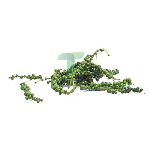 [11086] YOUNG BLACK PEPPER