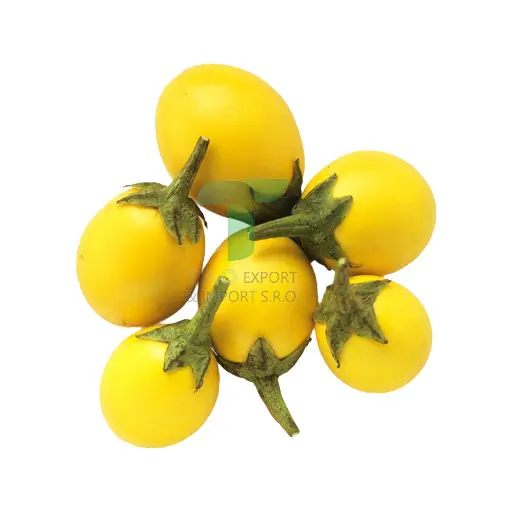 [11089] EGG PLANT YELLOW