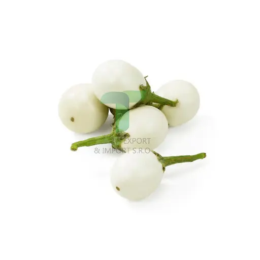 [11093] EGG PLANT WHITE