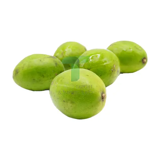 [11106] HOG PLUM BIG