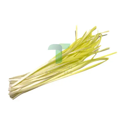 [11115] WHITE LEEK LEAVE