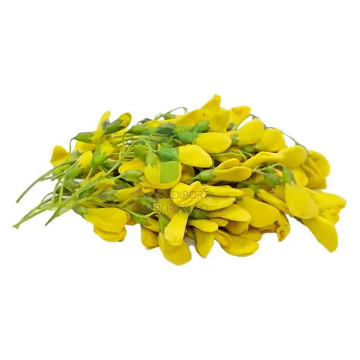[11117] SESBANIA FLOWER