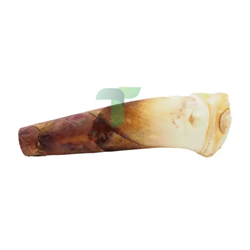 [11118] FRESH BAMBOO WHOLE
