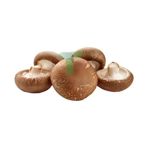 [11150] SHITAKE MUSHROOM