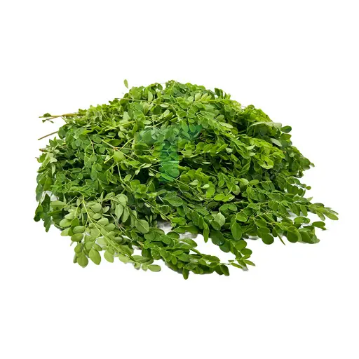 [11338] HORSE RADISH TREE SHOOT