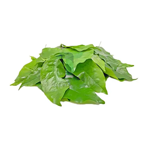 [11379] REANG LEAF/ GNEMON LEAF