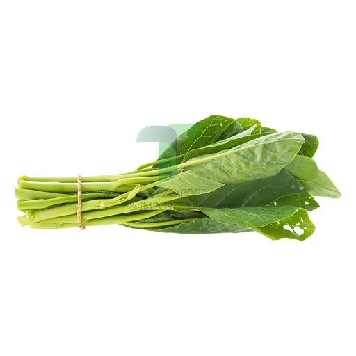[EL007] KALE E