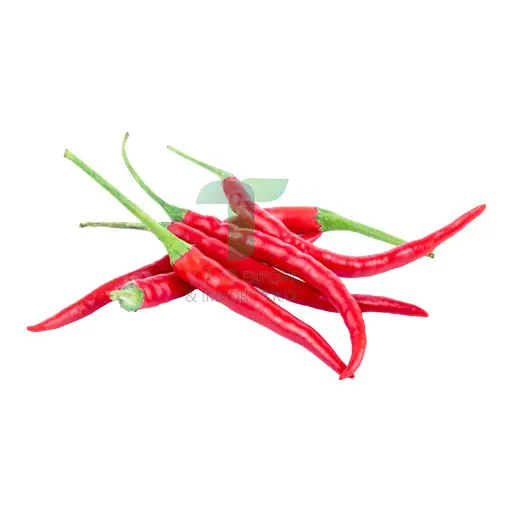 [EL023] RED CHILLI