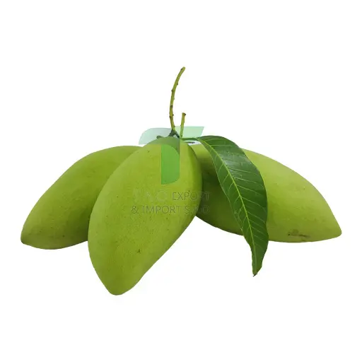 [22202] MANGO (SOUR)