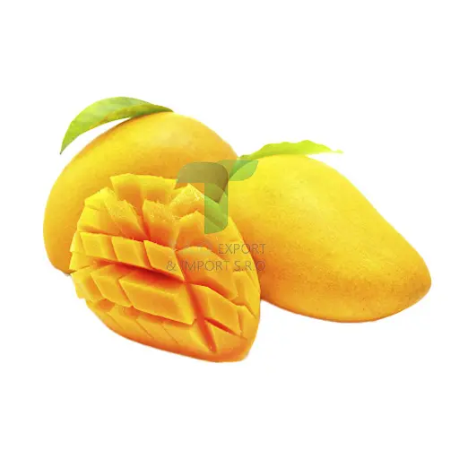 [22203] YELLOW MANGO