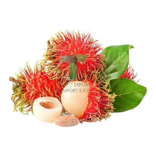 [22204] RAMBUTAN