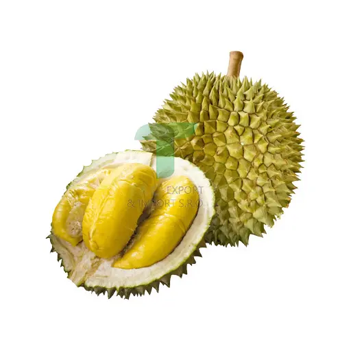 [22207WS] DURIAN WHOLE MON THONG 0.6-1.5KG 