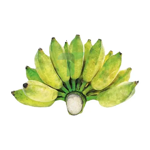 [22210] THAI BANANA