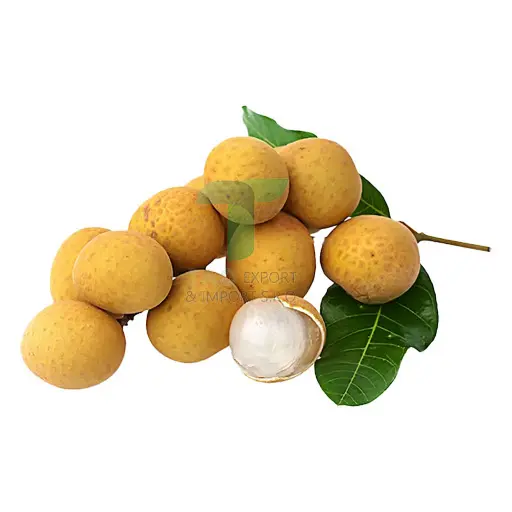 [22213] LONGAN