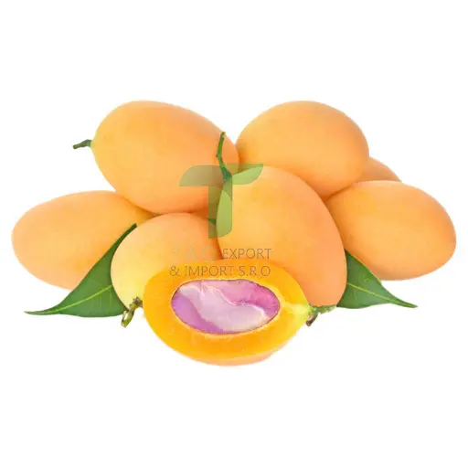 [22232] YELLOW PLUM