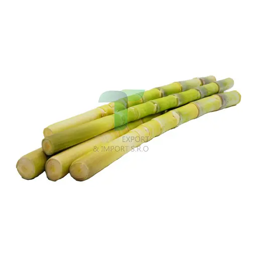 [11237] SWEET BAMBOO WHOLE