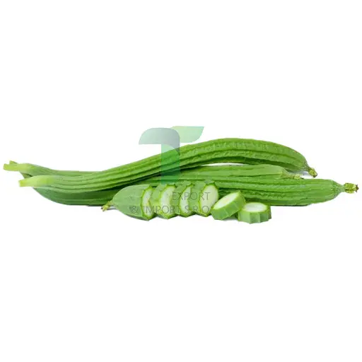 [11015] ANGLED LUFFA 