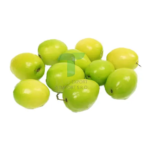 [22263] SMALL JUJUBE  