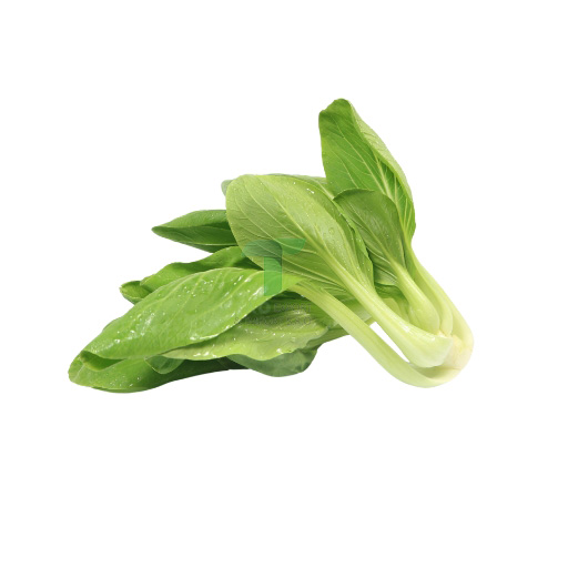 [EL178] PAK CHOI 
