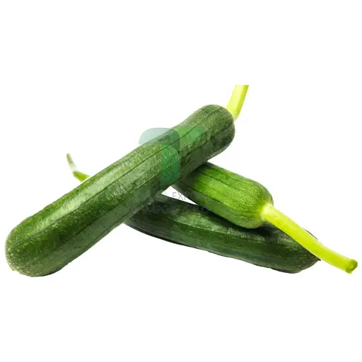 [11079] SPONGE GOURD 